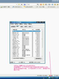 瑞星軟件升級后聯網異常問題深度解析與解決方案