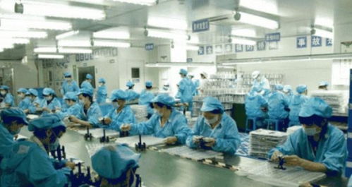 螺絲釘的智慧圖譜 電子廠里的文化密碼與社會分工